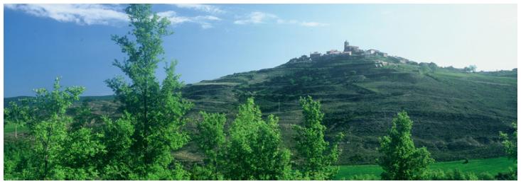 Situación Los Pintanos - Cinco Villas - Provincia de Zaragoza